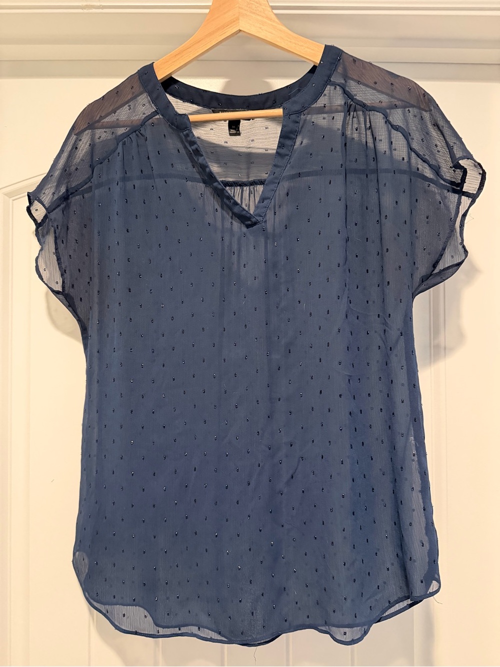Banana Republic Navy Dot Semi-Sheer V-Neck Blouse